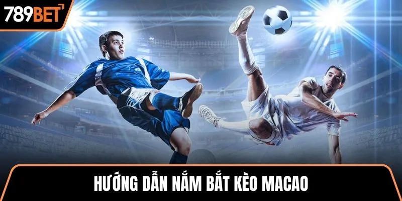 Hướng dẫn nắm bắt kèo Macao