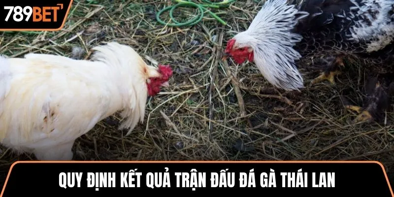 Quy định kết quả trận đấu đá gà Thái Lan