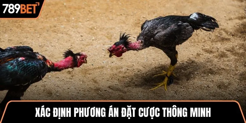 Xác định phương án đặt cược thông minh